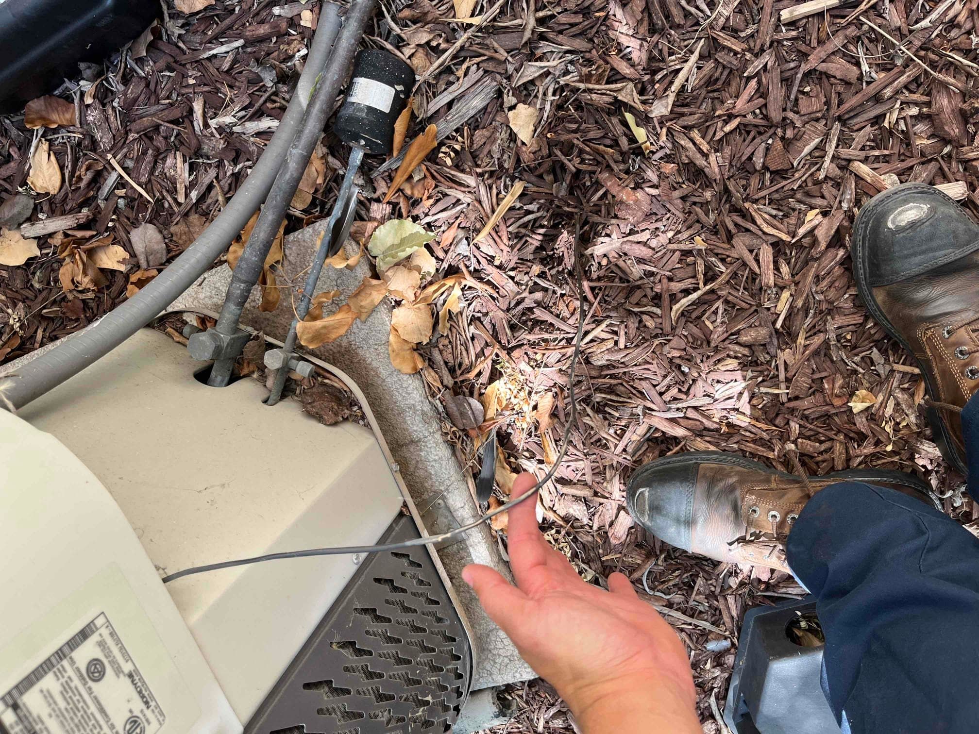 Evaporator coil and blower components inspected during a San Jose HVAC service call